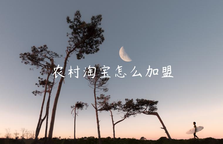 農(nóng)村淘寶怎么加盟